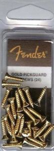 Fender Pickguard Screws, gold.  ― Guitar-Supply.ru